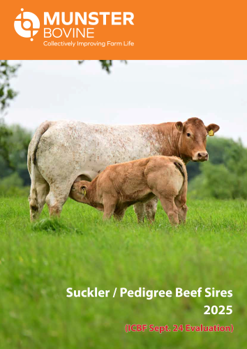 Suckler 2025 Munster Bovine COVER