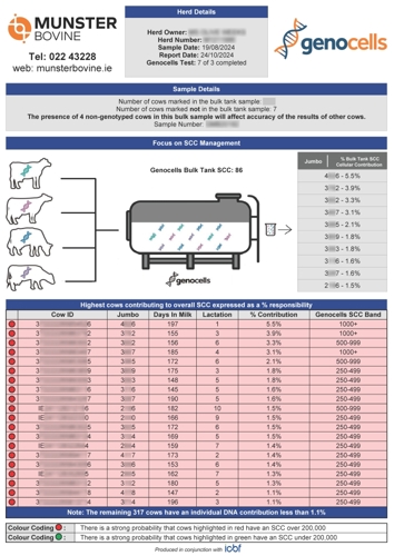 Genocells Test Day Report Sample showing Cow IDs with SCC colour bands